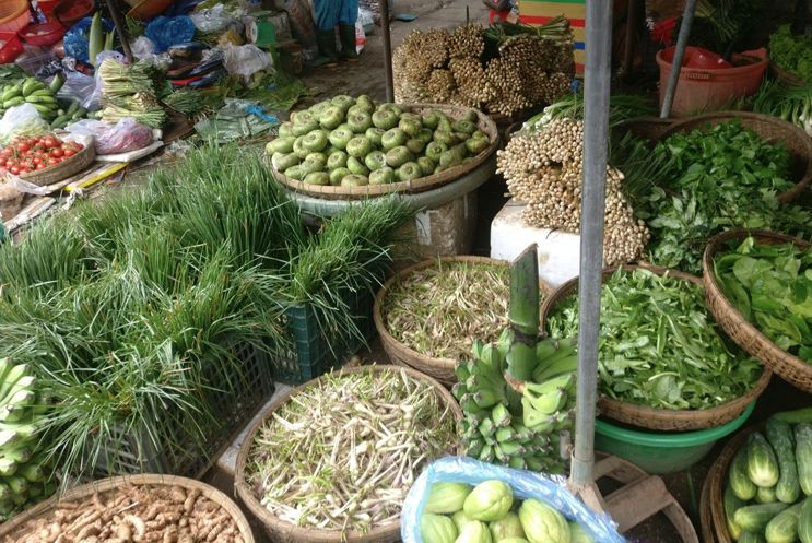 ayurnadi, ayurvedisch koken,  ayurvedisch koken omgeving Maastricht