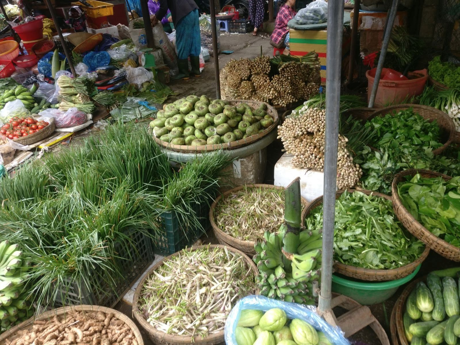 ayurnadi, ayurvedisch koken Zuid Limburg